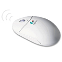 [Mouse]